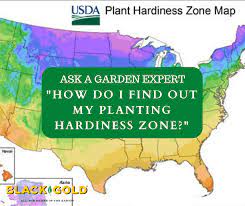 Planting Hardiness Zone