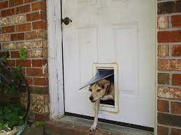 Diy Dog Door Examples You Can Build For