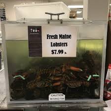 The Price Of Lobster In Maine August 2018 Maine Ly Lobster