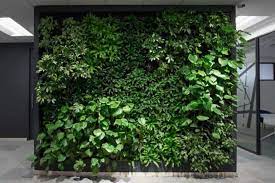 New Hampshire Living Plant Wall Design