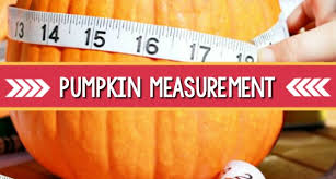 Pumpkin Measurement Activity For Preschool