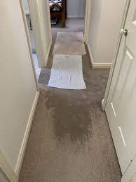 why your carpet is wet in places and