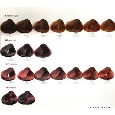 Alfaparf Evolution Of Color Permanent Hair Color