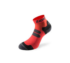 Lenz Runnig 4 0 Socks