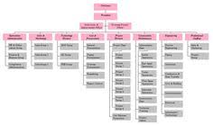 9 Best Org Chart Examples Images Chart Organizational