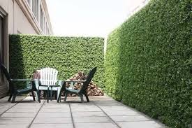 Artificial Hedge Plant Greenery Panels