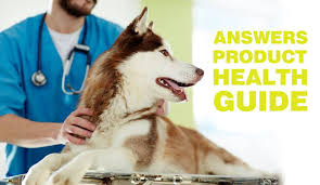 This condition requires a strict diet with limited phosphorus, sodium, and proteins to help the canine live longer. Have Questions About What Diet To Feed Answers Pet Food Facebook