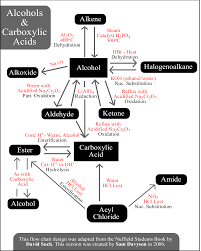Organic Chemistry Chart Flow Chart Hcl Alelel Chart Flow