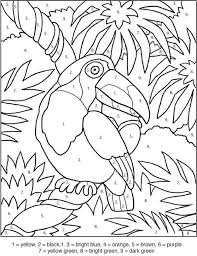 Here you will find many different pets: Color By Number Toucan Worksheets 99worksheets