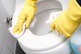 clean stains on plastic toilet seats