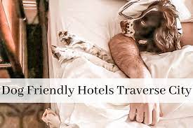 traverse city dog friendly hotels