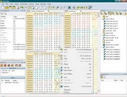 Free hex editor neo is the fastest freeware binary file editor for windows platform. Free Hex Editor Neo Heise Download