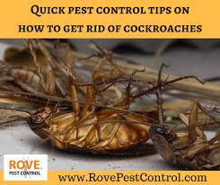 quick pest control tips on how to get