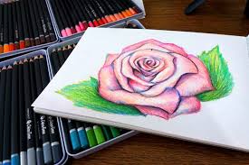 Există peste o sută cincizeci de specii și mii de soiuri. Trandafir Desen Cu Creioane Colorate Video Cristina Picteaza