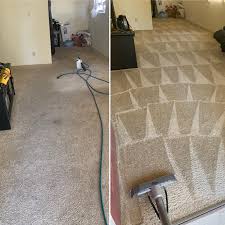 picazo carpet cleaning professional