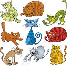 crazy cat clipart free free images at