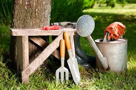 tools that a professional gardener will