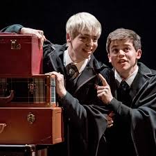 Cursed child's cast changeover means that the original core broadway cast — including jamie parker, paul thornley, and noma dumezweni, who also originated the harry/ron/hermione roles in the london production — are now officially hanging up their wands and wizarding robes. The Harry Potter Universe Still Can T Translate Its Gay Subtext To Text It S A Problem Vox