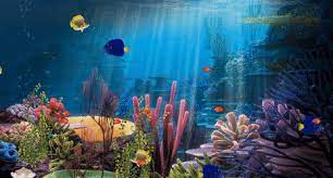 free aquarium screensaver