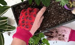 The Best Gardening Gloves Protecting