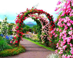 Beautiful Garden Path Garden Flowers