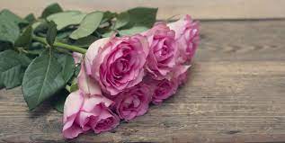 Earlier proponents of marriage were as horrified. 16 Romantic Flower Meanings Symbolism Of Different Kinds Of Flowers Woman S Day