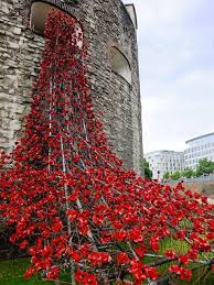 poppies at the tower of london