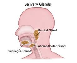 submandibular gland excision