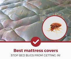 top 5 best bed bug mattress covers
