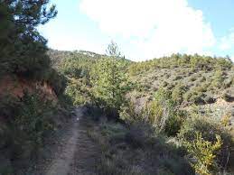 Les meilleurs itinéraires et randonnées dans Javier, Navarre (Espagne) |  Wikiloc