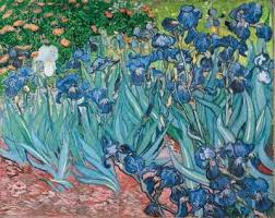 Vincent Van Gogh Paintings From Saint