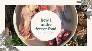 how i make ferret food you