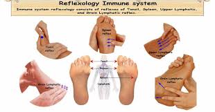 Reflexology Immune System 5 Surprising Reflexes To Boost