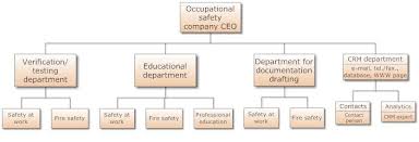 Organization Chart Preview Of Structure Of A Smaller Ohs
