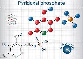Pyridoxal Phosphate Vitamin B6 Là Một Coenzyme Công Thức Hóa Học Kết Cấu Và Mô Hình Phân Tử Tờ Giấy Trong Lồng Hình minh họa Sẵn có - Tải xuống Hình ảnh