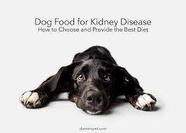 dog food for kidney disease how to
