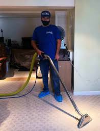 1 carpet cleaning in bronx ny