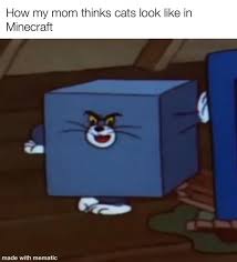 With the help of minecraft dank memes, everybody can create funny, unique images and make notes under. How My Mom Thinks Cats Look Like In Minecraft Meme Ahseeit