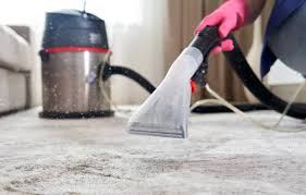 essential carpet cleaning tools every