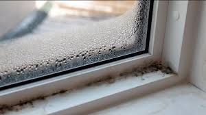 summertime is mold season is your home