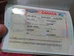 employment visa for canada individual