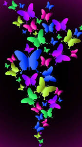 Resultado de imagen para imagenes de mariposas de colores