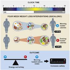 timing of daily calorie loading affects