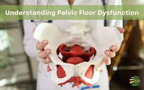 understanding pelvic floor dysfunction