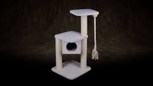 cat trees for cats p 8