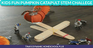 pumpkin catapult stem challenge