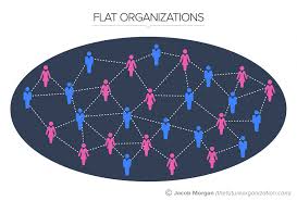 The 5 Types Of Organizational Structures Part 3 Flat