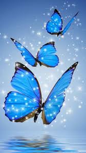 Light blue butterfly wallpaper 1920x1080 light, blue, butterfly. Iphone Light Blue Butterfly Wallpaper Novocom Top