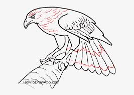 Currently, it is released for android, microsoft windows, mac and ios operating. Drawing Eagles Fire Png Free Draw A Eagle Easy Transparent Png 600x600 Free Download On Nicepng