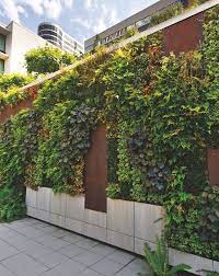 Living Walls Redefining Greenspace